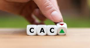 cac is index that has the collection of stocks