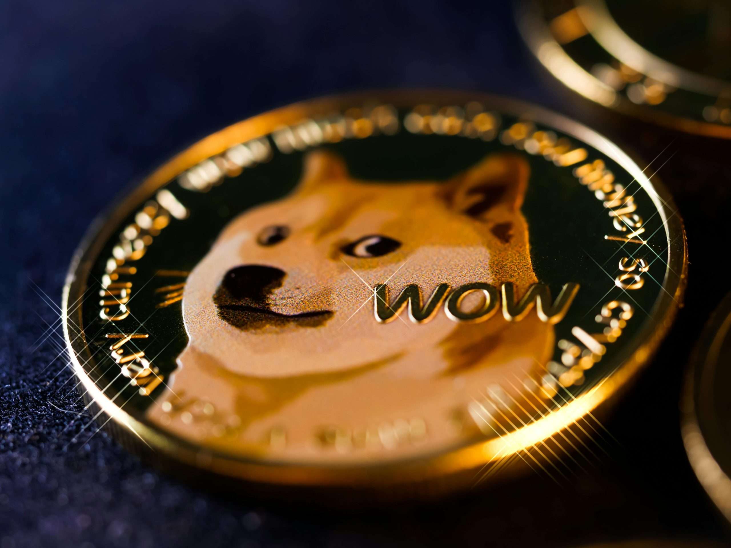 meme coin